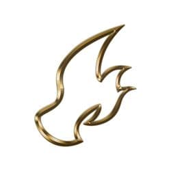 AQUILA Photo
